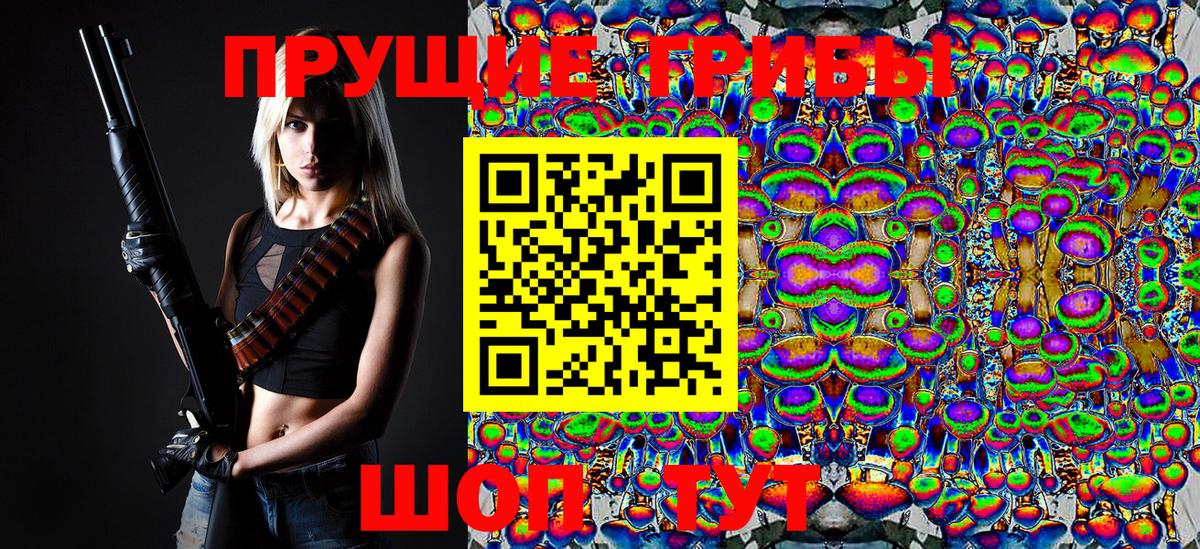 Галлюциногенные грибы Psilocybe  Вход с VPN  Нижний Новгород 